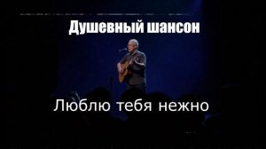 ДУШЕВНЫЙ ШАНСОН|Люблю тебя нежно|ДУШЕВНЫЕ ПЕСНИ