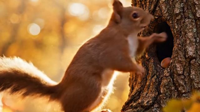 времена года