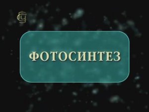ФОТОСИНТЕЗ