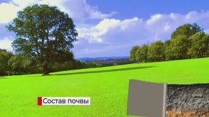 Почвенная среда обитания