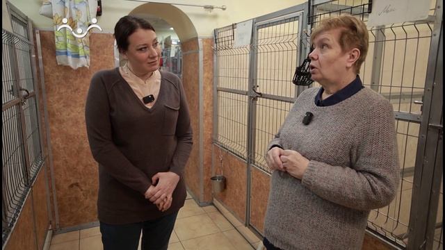 Твори добро. Собаки-поводыри