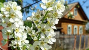 Прогулялись до Ярославля с соседями.