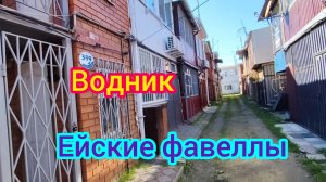 Ейские ФАВЕЛЫ/Отели и ПЛЯЖИ Ейска/Спасаем КОШКУ/Купила СЕМЕНА