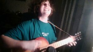 Кирилл Николенко - Требедень (На гитаре от автора)