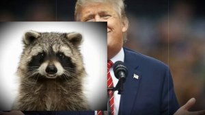 Вы не понимаете... Это другое...