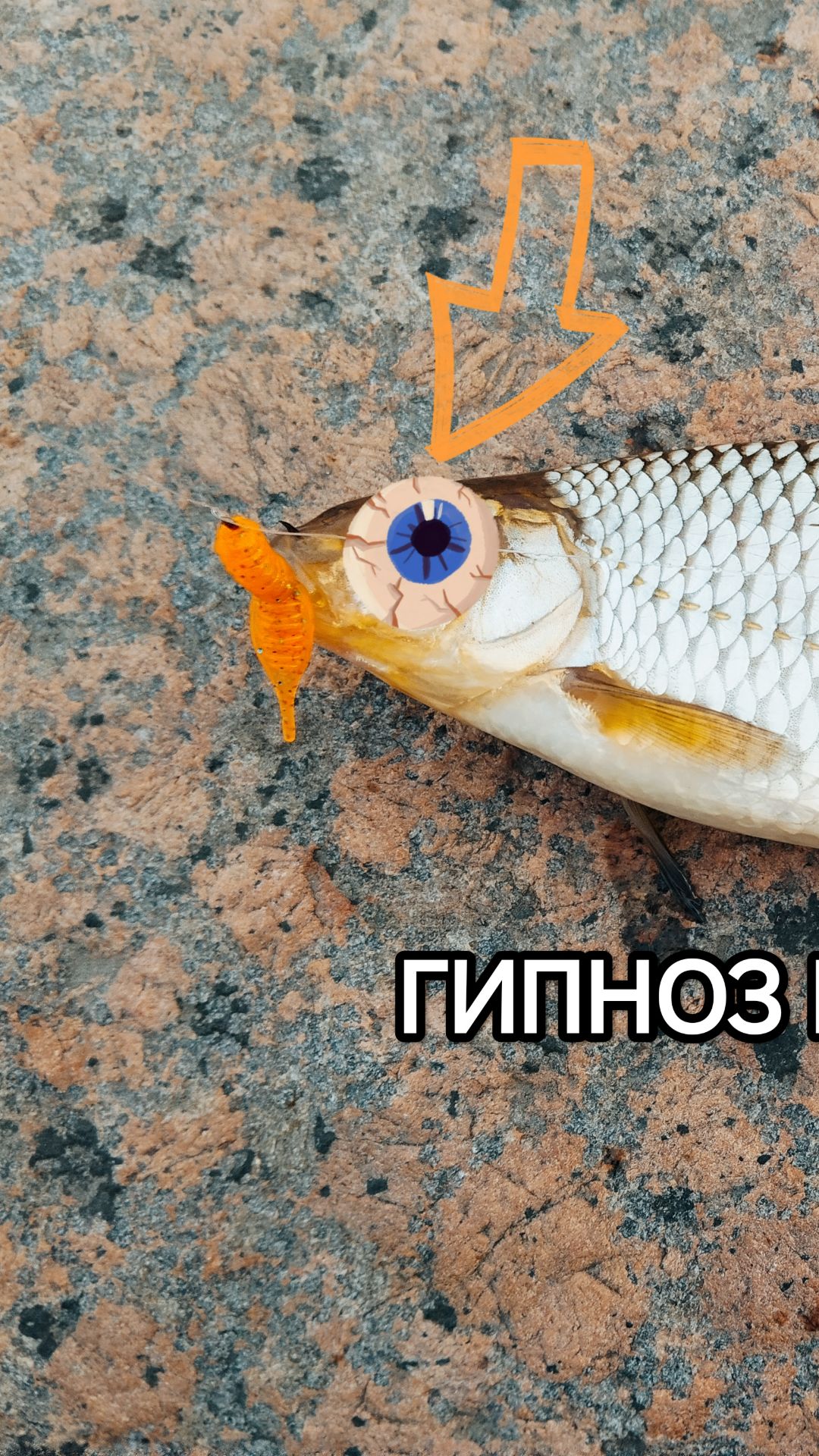 ПЛОТВА НА ДРОПШОТ🔥🔥🔥 #спиннинг