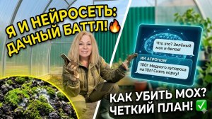 Как использовать Нейросеть на даче: Мой реальный диалог про мох в теплице
