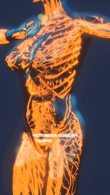 Новый вирус будет передаваться через воду