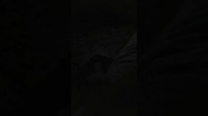 lv_0_20260407222520.mp4