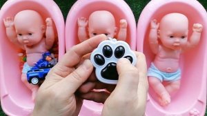 Paw Patrol ASMR Magic Satisfying Video with Full of 3 BathTubs Candy