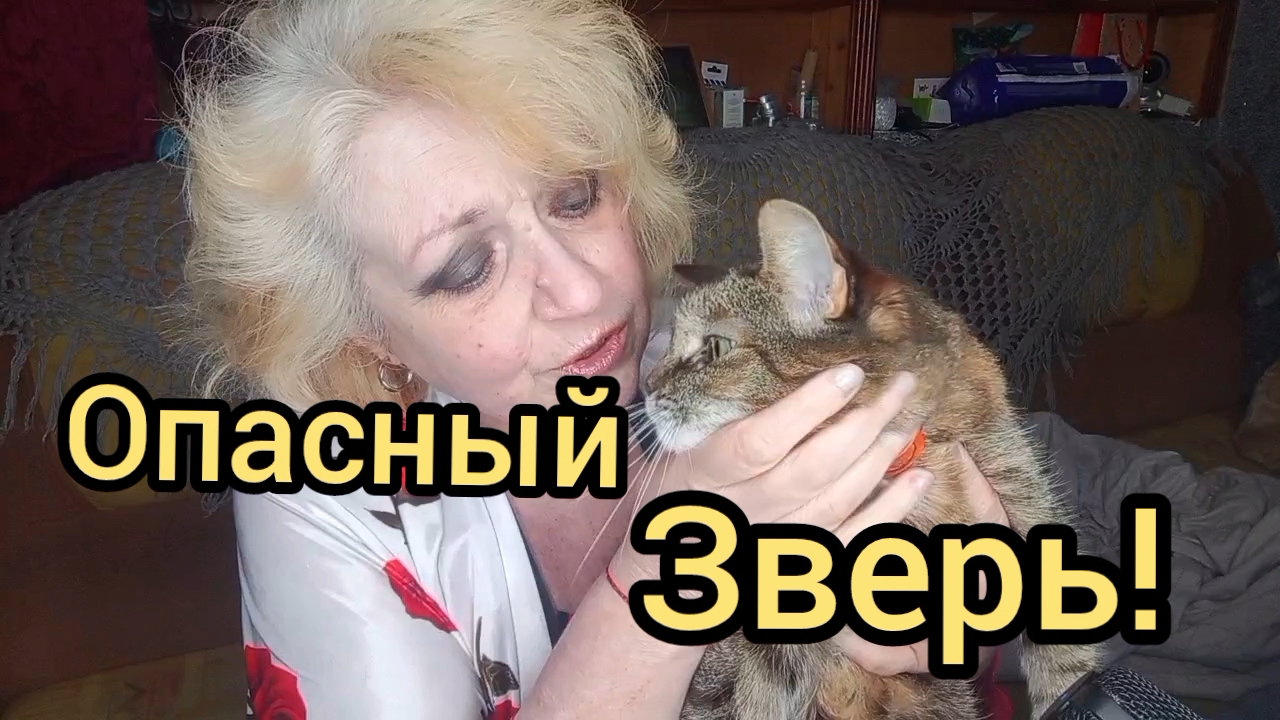 РАСПАКУЕМСЯ По БЫРЕНЬКОМУ!