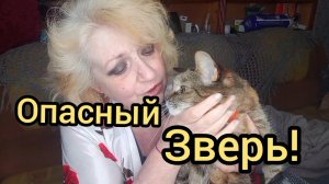 РАСПАКУЕМСЯ По БЫРЕНЬКОМУ!