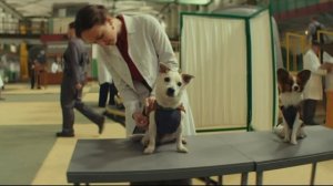 «Моя собака - космонавт»