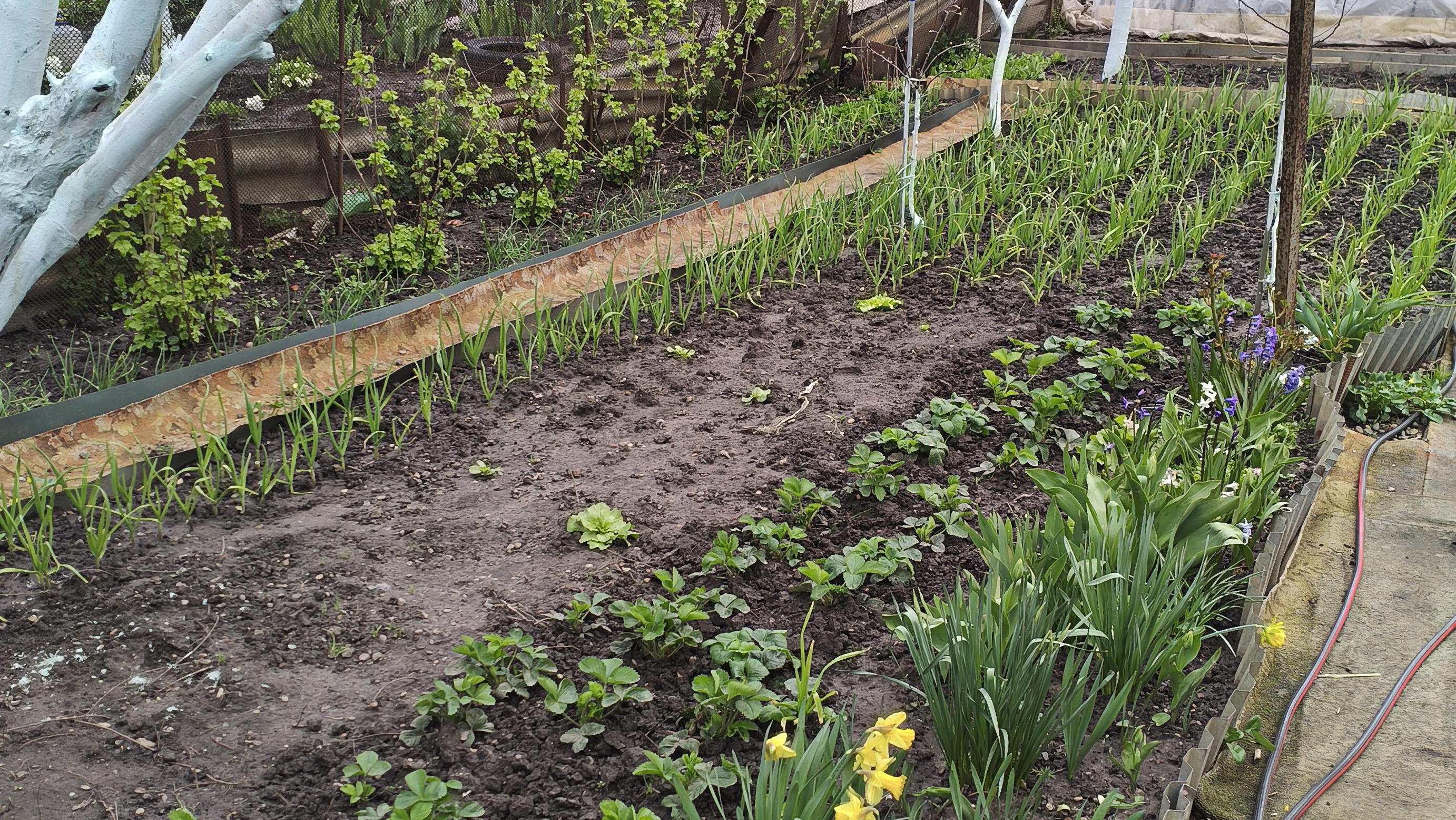 Работа в моём огороде