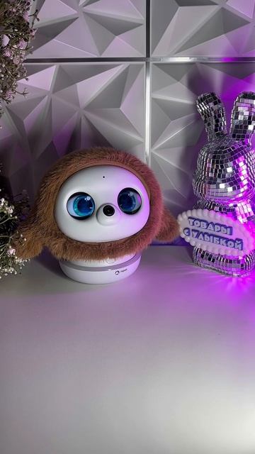 Робот-питомец Ропет Kamomo Ropet теперь знает язык морской свинки