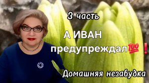 3 часть. А ИВАН предупреждал❗️