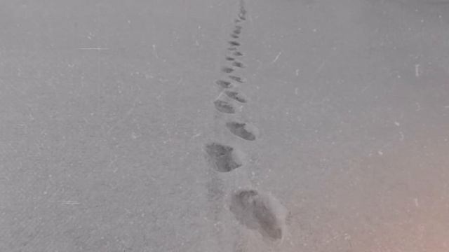 Перевал Дятлова Как люди сами создали культ вокруг трагедии GEO