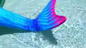 Настя и папа - серии про принцесс