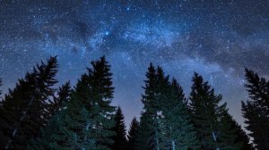 Мне бы только успеть