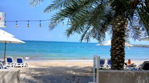 Al Bahar Hotel & Resort. Фуджейра. ОАЭ. Обзор отеля Al Bahar Hotel & Resort