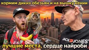 КОРМИМ ДИКИХ ОБЕЗЬЯН И ВРЫВАЕМСЯ НА КРЫШУ С ВИДОМ НА ВСЮ КЕНИЮ 🔥 ЛУЧШИЕ МЕСТА СЕРДЦЕ  НАЙРОБИ