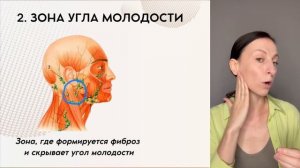 Урок «Зоны, где платизма стареет быстрее»
