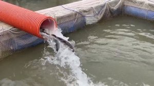 08.04.26 г. РК Волна.