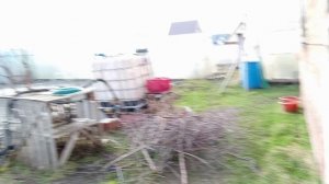 Первая обработка ягод Блю Шилд 35/10 08.04.26