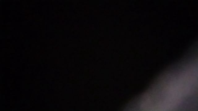 К нам лошадки деревянные прискачут