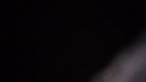 К нам лошадки деревянные прискачут