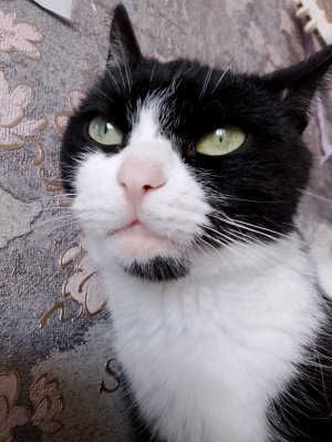 наше творчество: часть 2