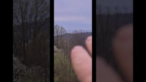 Участки в Сергей-Поле