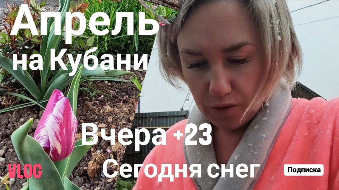 Влоги с юга . Апрель на Кубани: вчера +23, сегодня снег🌞❄