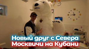 НА КУБАНИ ВСЕ СВОИ: ДАЖЕ МЕДВЕДИ С СЕВЕРА 🤝🐻 Гараж, сюрприз, угощение.