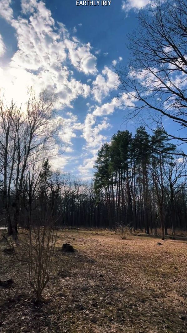 Природа прекрасна #земнойирий #весна #природа #вднх #ботаническийсад