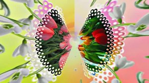 Весна! Очаровательные тюльпаны 4! Киностудия Мудрого Кота Тимофея!