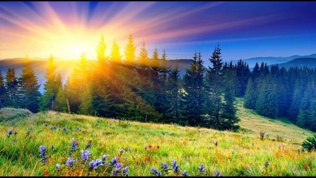 К. Бальмонт. Я в этот мир пришёл, чтоб видеть Солнце...