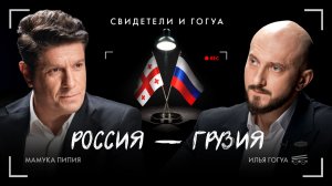 Мамука Пипия: Россия — Грузия / Свидетели и Гогуа / Телега Online