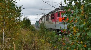Электровоз ВЛ80с-1104 с грузовым поездом на перегоне Шониха - разъезд 281 км