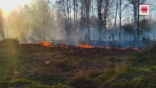 Лесопожарная охрана на страже наших лесов