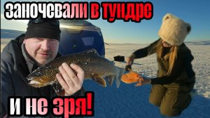 ЗАНОЧЕВАЛИ в ПАЛАТКЕ. ТРОФЕЙНАЯ КУМЖА. Хороший УЛОВ.