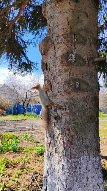 Непослушные ребята 😁