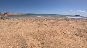 Краб-отшельник