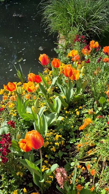 ЖИВЕРНИ 05.04.2026