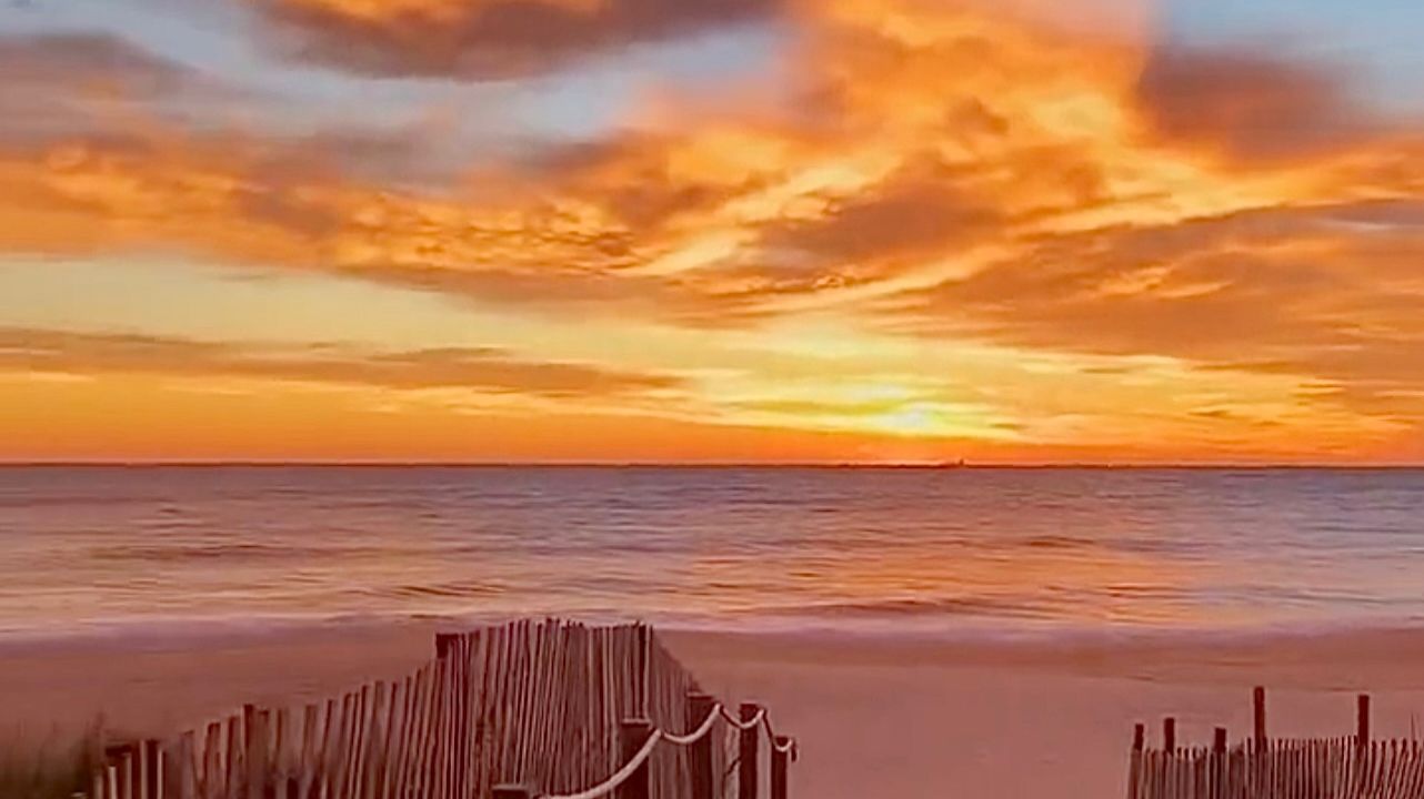 Flowers  Lofi Cup  Fabian de Vries