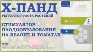 Х-Панд – стимулятор плодообразования на яблоне и томатах с гиббереллиновой кислотой А3. Обзор