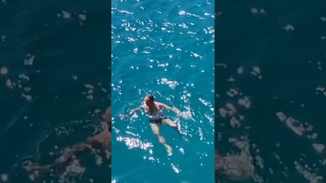 Приплыли понырять