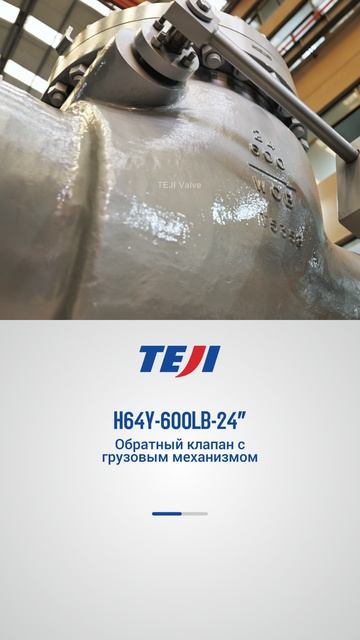 H64Y-600LB-24” Обратный клапан с грузовым механизмом-TEJI