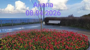 Анапа 08.04.2026