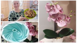 "Жизнь на пенсии".. Продолжаю получать подарки.)) Оладьи по заявке.